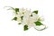 Floral arrangement with Jasmine (Philadelphus) flowers isolated on white or transparent background