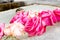 Floral arrangement of pink roses in the basin of an old stone fountain