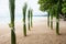 Floral arrangement at a wedding on beach