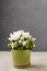 Floral arrangement with white dahlia flowers and green hypericum plant