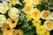 Floral arrangements in yellow tone.