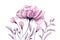 Floral artwork with rose in pink. Watercolor banner. Hand painted bouquet with transparent purple flower and leaves