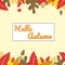 Floral autumn background with leaves. Happy autumn. Hello autumn