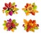 Floral autumn decoration with 3d paper cut flowers and leaves. Vector set of fall flowers bouquets. Paper art style