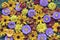 floral background of autumn flowers, top view. Rudbeckia and asters.