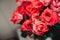 Floral background of blooming roses, Living coral color - color of the 2019 year, close-up. Big beautiful roses bouquet