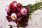 Floral background. Bouquet of pink and red flowers of Xerochrysum bracteatum Helichrysum bracteatum, close-up. Background, dry