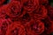 Floral background of bright red scarlet roses, in the corners are small fragments of green leaves, looking from above