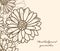 Floral background Camomile