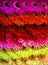 Floral background colorful gerberas