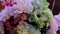 Floral background, festive decorations, festive decoration, flowers in vases, paper pom-poms