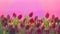 Floral background.flower border. many flowers of red tulipspink sunset  background close-up