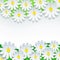 Floral background, frame with 3d flower chamomile