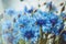 Floral background of fresh blue cornflower flowers with soft shine. Summer blossom concept. Place for text, copy space.