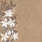 Floral background with hand-drawn branches of flowers neroli. Vector illustration on a kraft paper with  place for text.