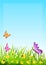 Floral background with herbs and small flowers, butterflies and ladybugs. Illustration.