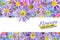Floral background made of alpine aster flowers. Isolated background. Close-up. Festive card made of flowers. Full depth of field