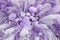 Floral background in magenta colors. Artificial bouquet of various purple flowers close-up