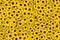 Floral background of a mass of bright yellow sunflowers