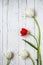 Floral background with red and white tulips and daisies