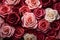 floral background, rosebuds close-up, top view. roses