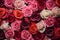 floral background, rosebuds close-up, top view. roses.