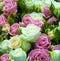 Floral background of roses.  festive background of white and pink roses