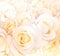 Floral background with roses in pastel color