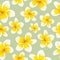 Floral background seamless pattern yellow plumeria