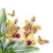 Floral background of tropical orchids