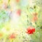 Floral background with watercolor poppies