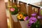 Floral balcony decor is a home concept.