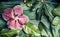 Floral banner with Orchid flowers on Creative tropical nature background with various palm and jungle leaves, top view.