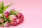 Floral banner pink background with place for text. Craft bag with tulips. Lots