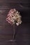 Floral banner in shabby chic style. dry hydrangea flower on a wooden background. simple flat composition, vertical frame