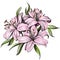 Floral blooming lilies vector illustration hand drawn painted watercolor