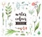 Floral Blossom Watercolor Vector Objects
