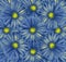 Floral blue background. A bouquet of flowers from blue-yellow gerberas. Close-up.