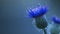 Floral blue background. Bright Blue thorny thistle flower. A blue flower on a blue background. Closeup.