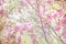 Floral blurred background, spring garden, oriental cherry Louiseania triloba