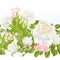 Floral border seamless background with white Roses festive background vintage vector Illustration for use in interior design,