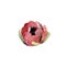 Floral bouquet design with: garden red burgundy Rose flower, seeded Eucalyptus branch