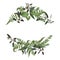 Floral bouquet design set, green forest leaf, fern, branches box