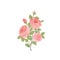 Floral bouquet isolated. Flower rose posy greeting card design element.