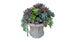 Floral bouquet style of succulents centerpiece or succulent plan