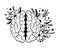 Floral brain isolated single clipart, Mental health or wellness concept, black and white line brain and flowers image