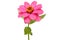 Floral Branch: pink zinnia flowers on a white background