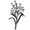 Floral bur reed illustration eps10