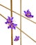 Floral butterfly made of flowers on bamboo sticks lined frame