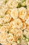 Floral carpet, flower texture, shop concept. Beautiful fresh blossoming flowers roses, spray roses. Blossom in vases and